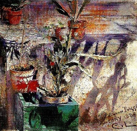 Carl Larsson stilleben med blomkrukor Norge oil painting art